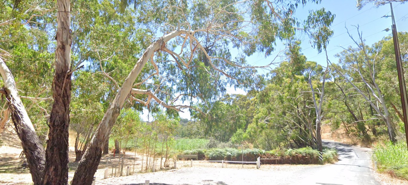 Dorset Vale Dorset Vale